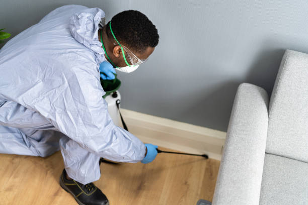 Reliable Riverdale Park, MD Pest Control Solutions